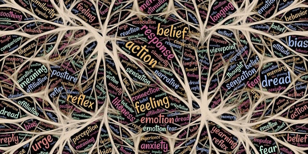 Neuroscienze e apprendimento inclusivo
